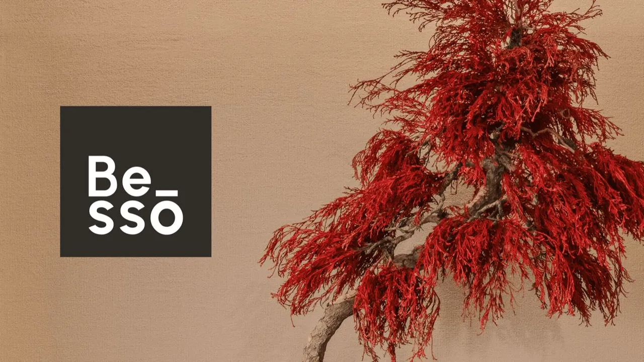 Besso Hotels brand and website
